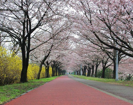 Samrak Ecological Park